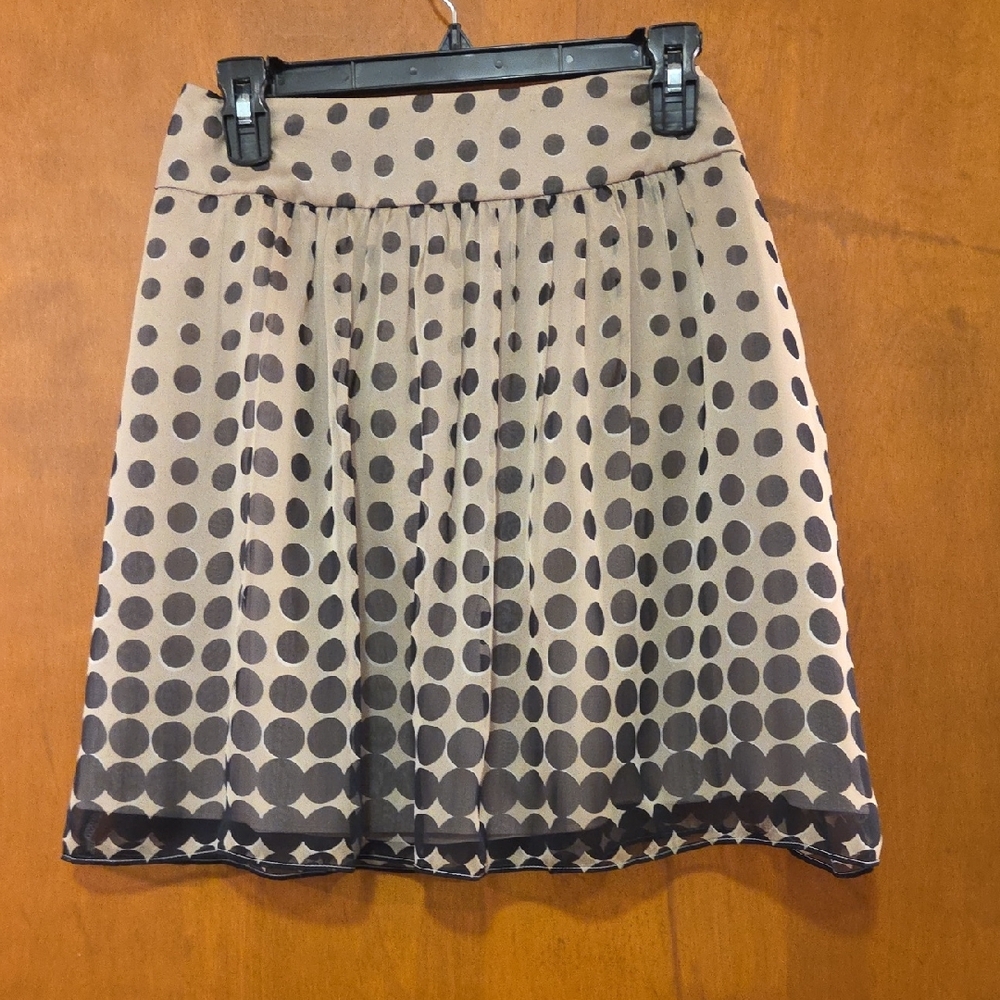 Limited Sheer Polka Dot Skirt 6